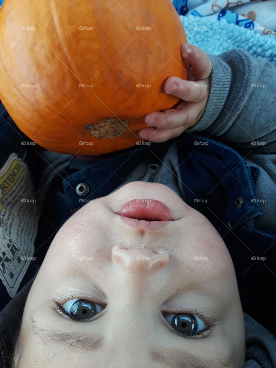 upside down pumpkin baby