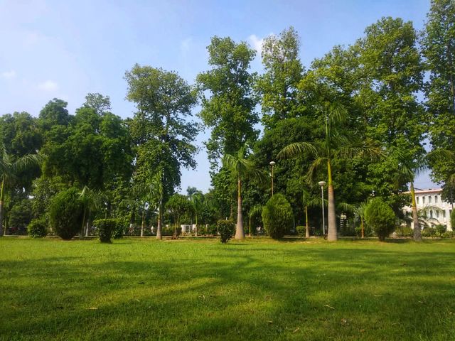 The lush greenery of the trees in the photo creates such a serene and calming atmosphere. It's like stepping into a peaceful forest retreat! 🌳✨