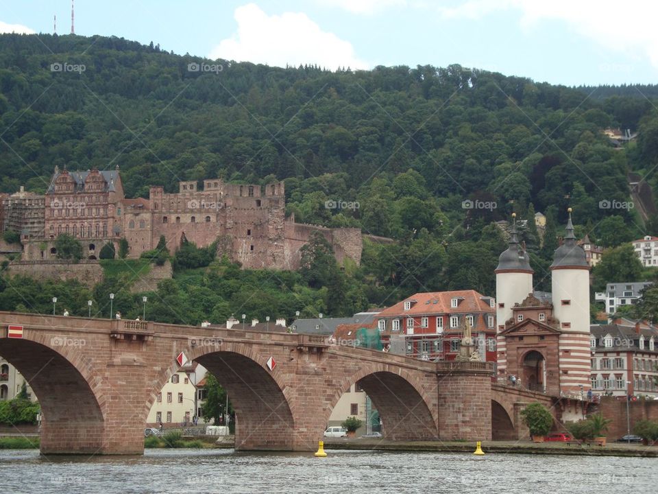 Heidelberg Snapshop