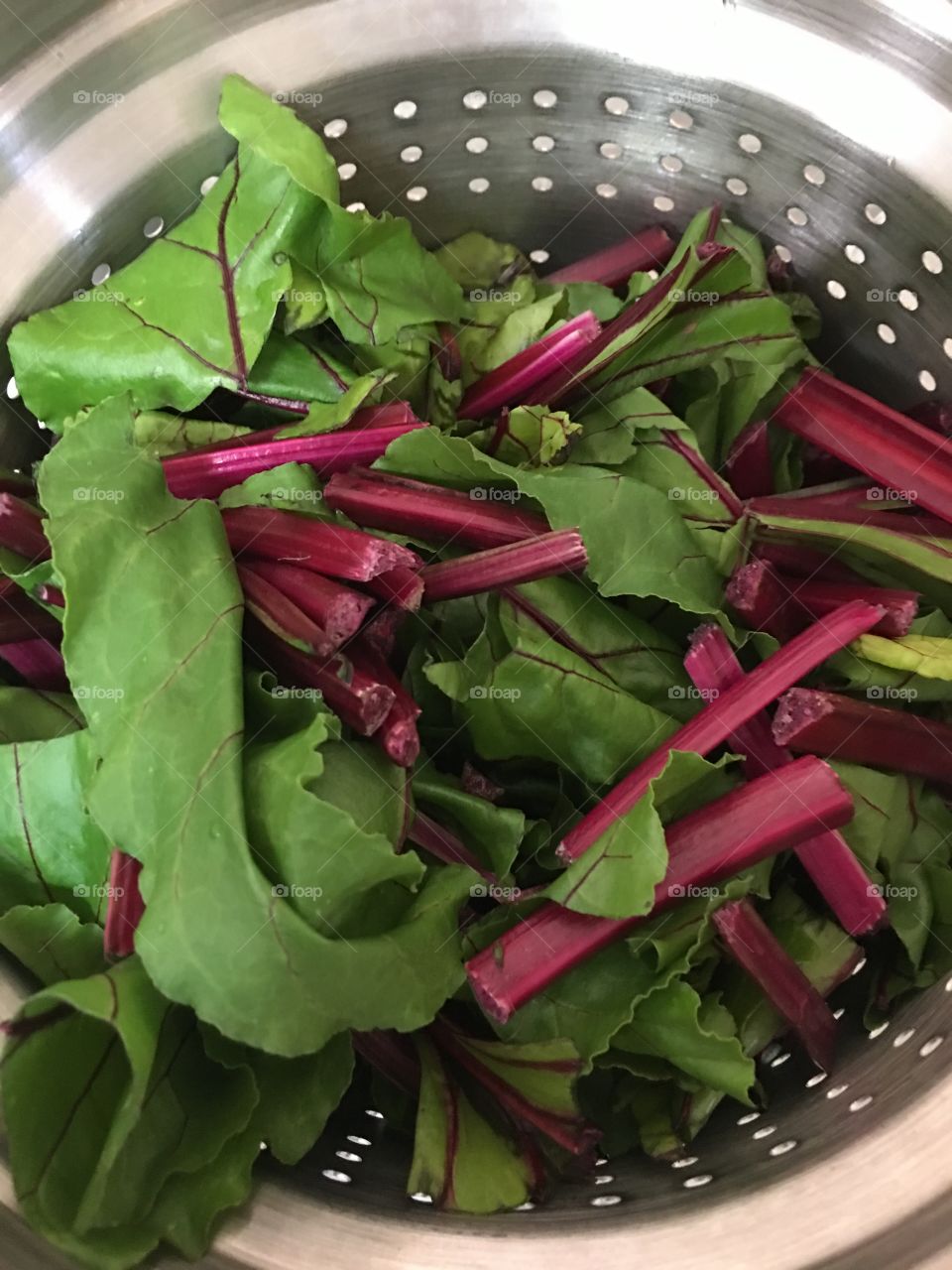 Closeup torn washed beet green leaves in preparation for meal