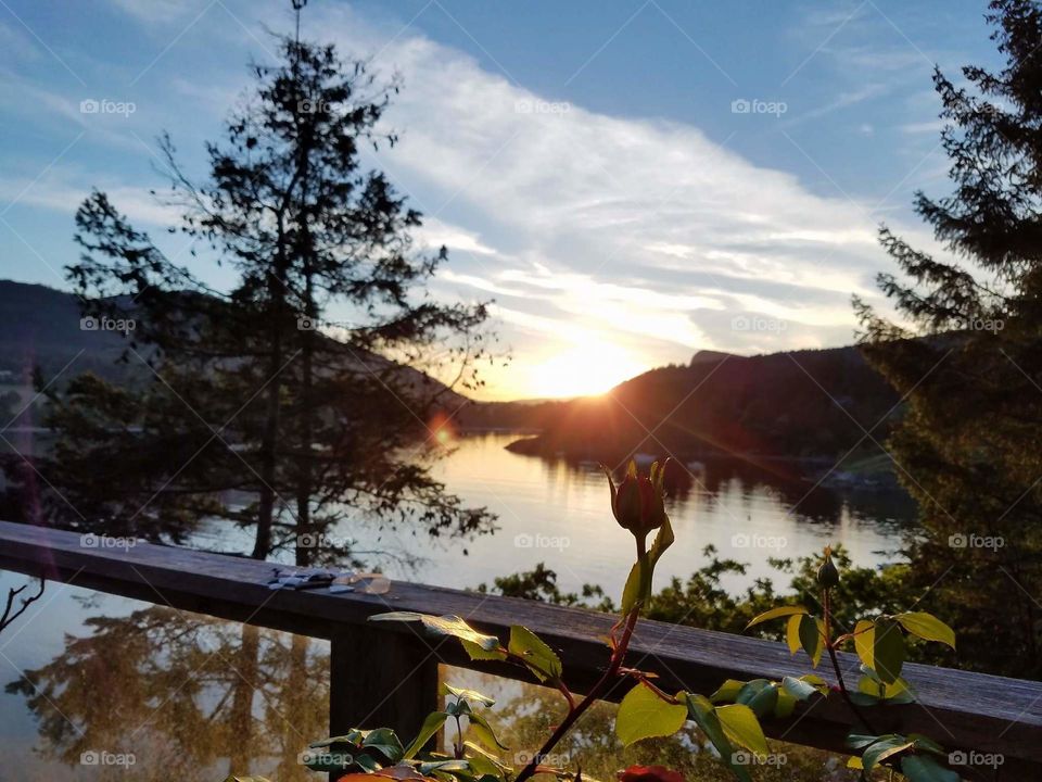 Beautiful lake view! 