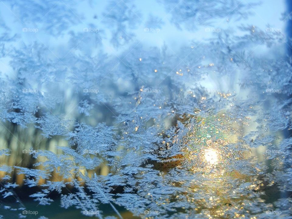 sunrise through frosted windowpane