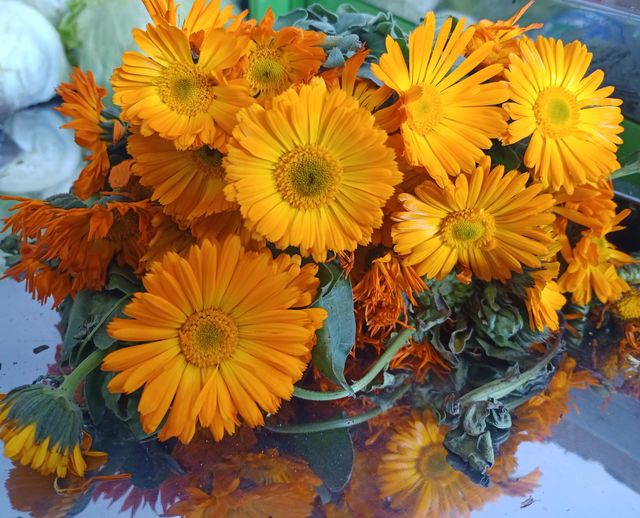 Flores amarillas. Caléndula flor amarilla hermosa y medicinal.