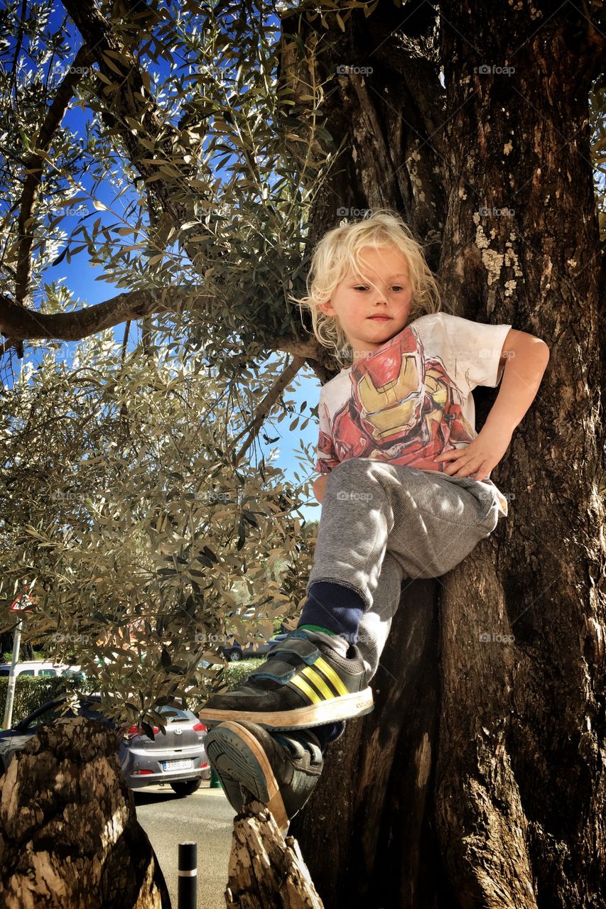 Boy sitting in a tree