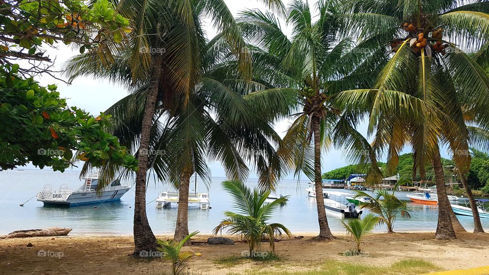 Playa, Mar, Arena, Palmeras de Coco y Botes.
