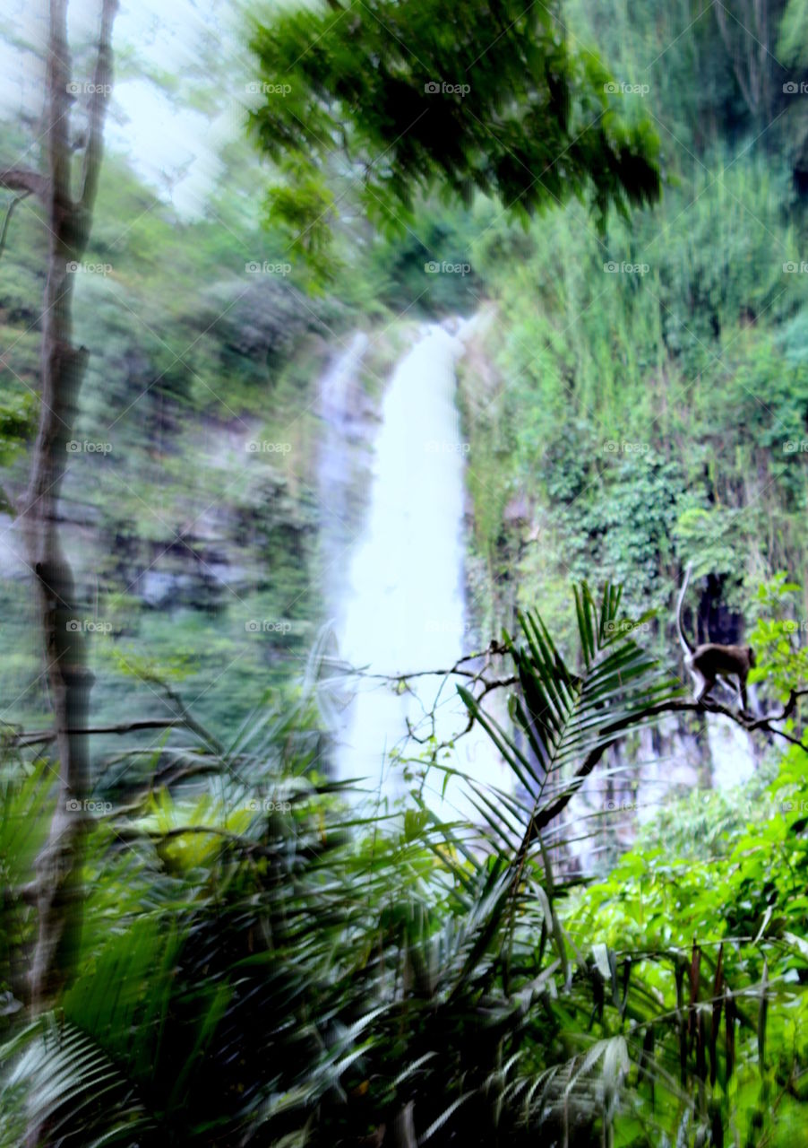 waterfall in Lawu Mountains