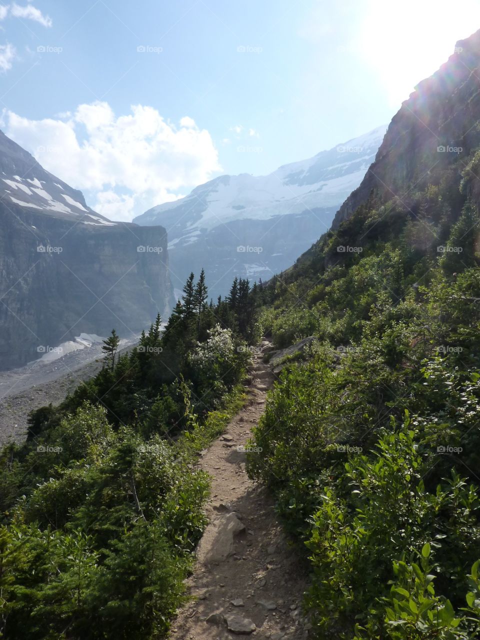 Banff trail