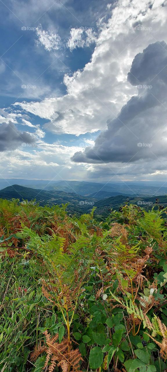 beautiful view from the top of the mountain