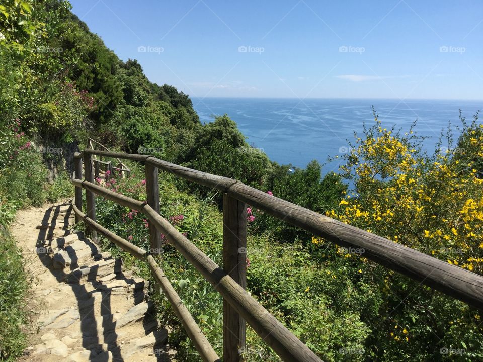 Cinque Terre Trail, Italy, Europe, Coastal Hiking, Vacation