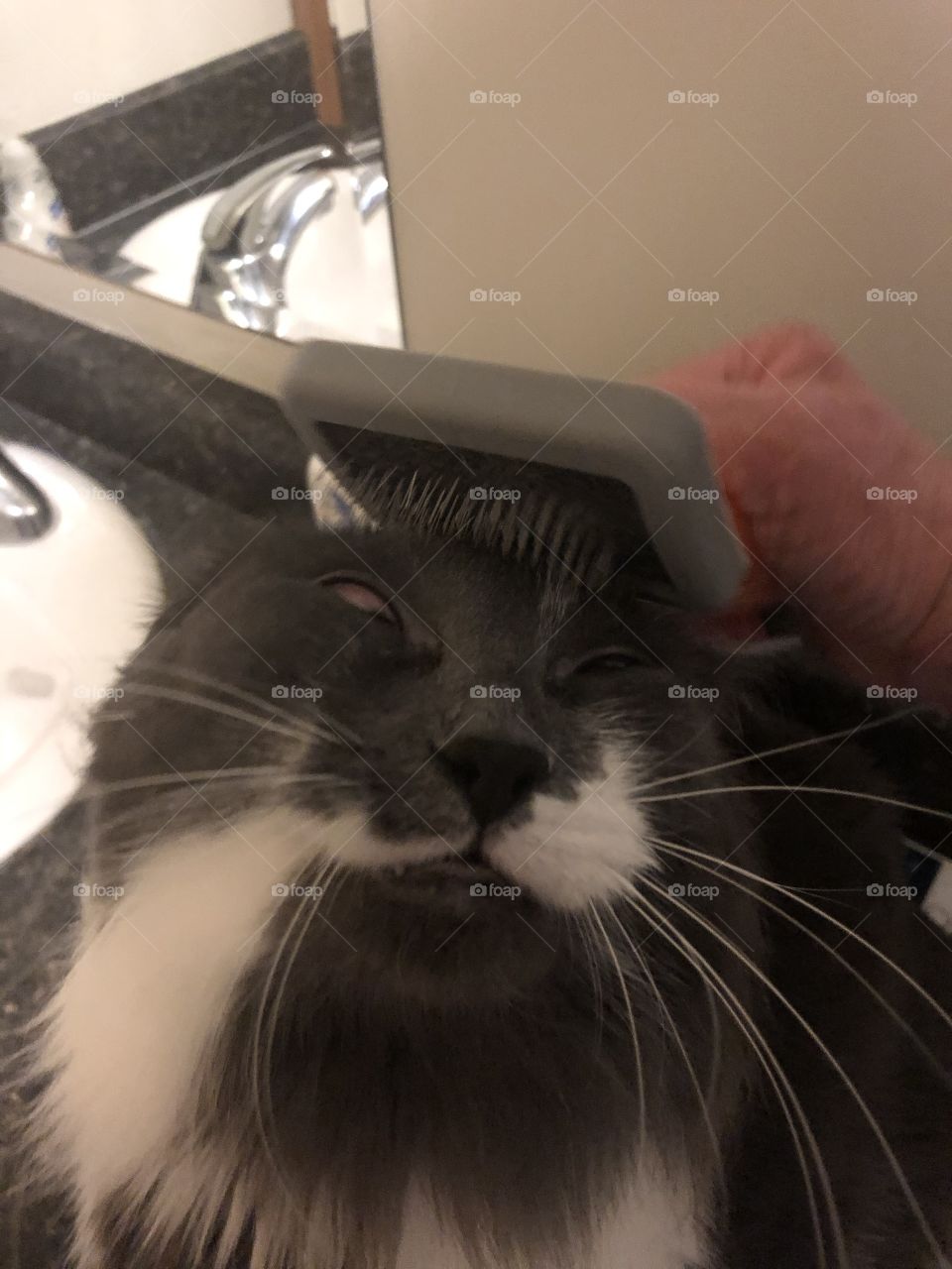 Getting brushed 