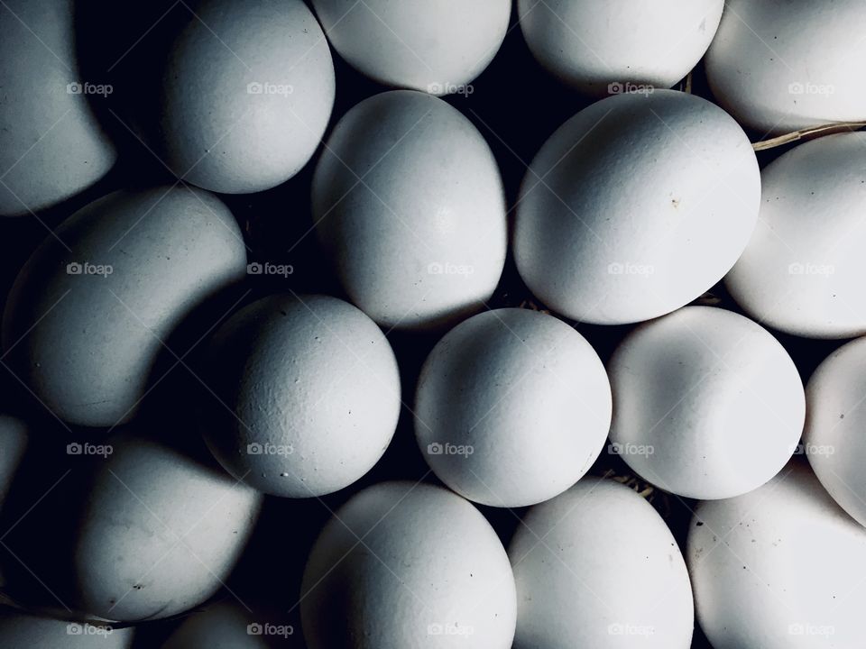 chicken EGGS