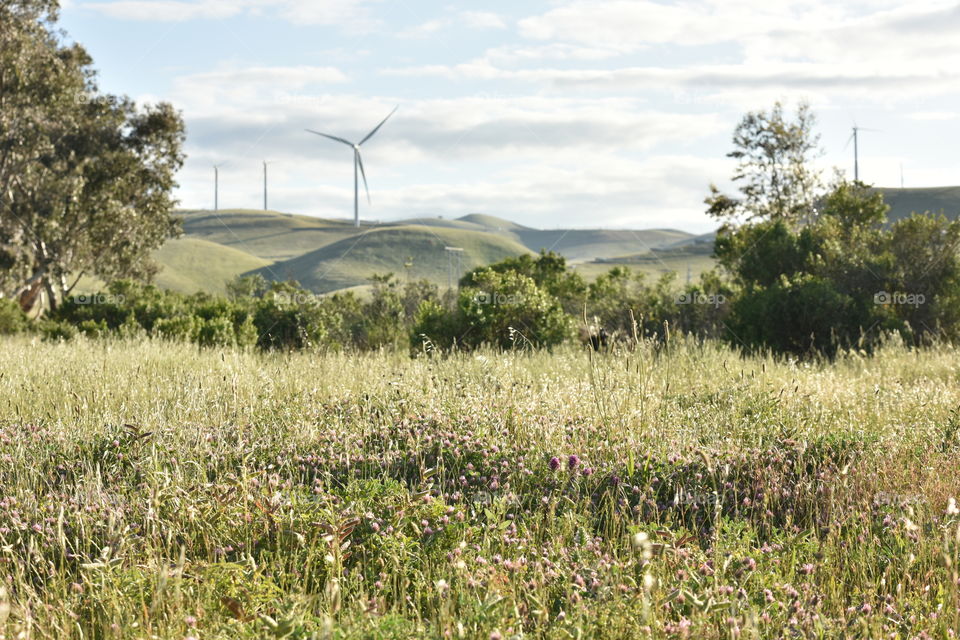 Wind Turbine