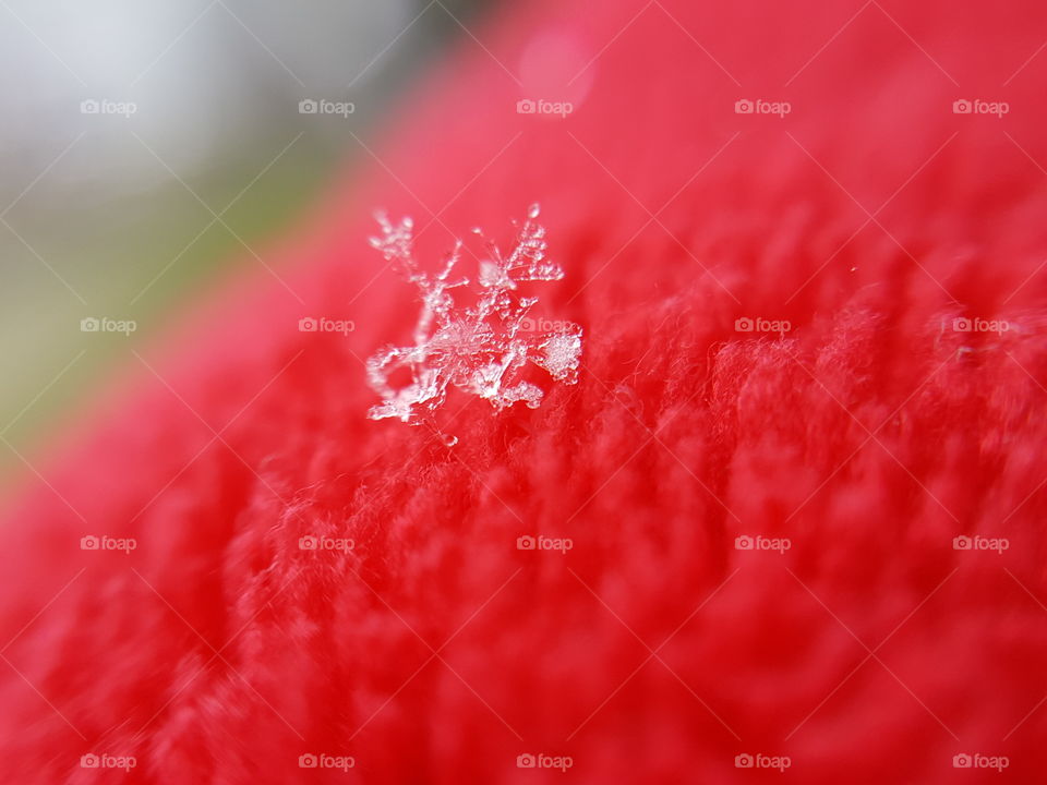 winter's last attempt