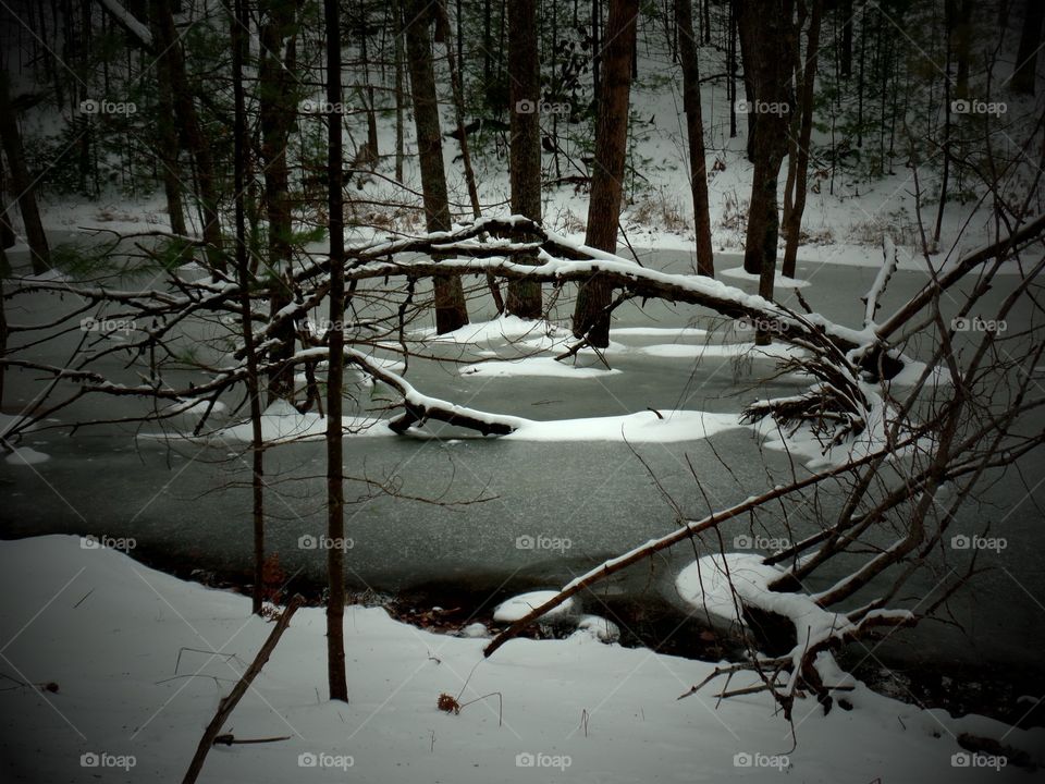 Northern Michigan 