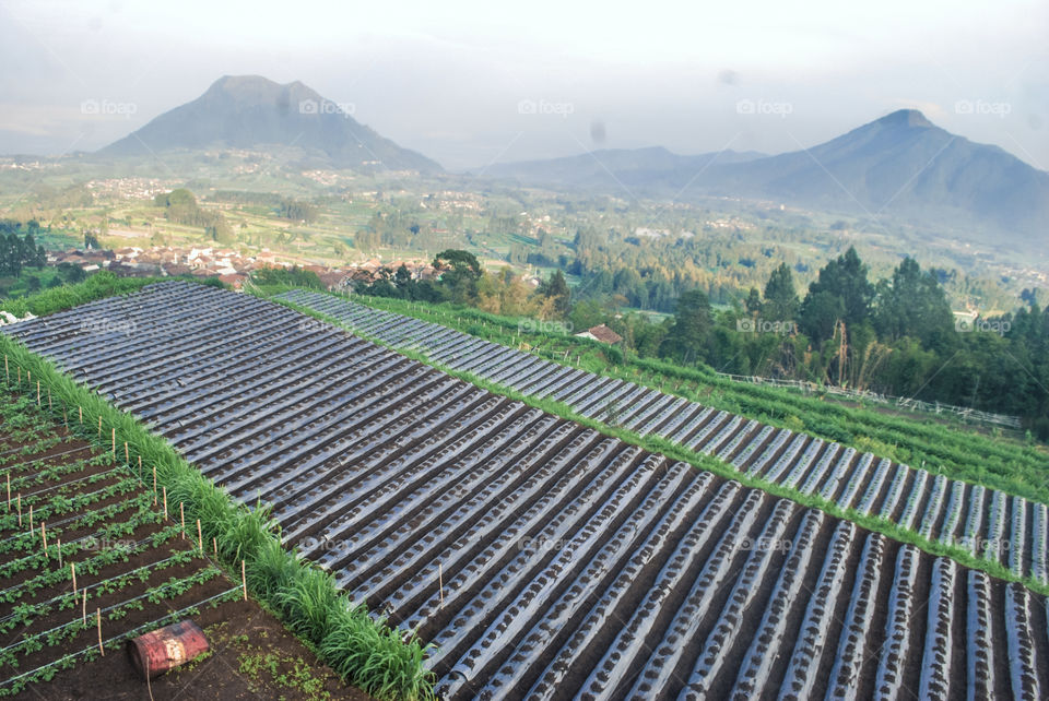 lereng merbabu dengan view gunung andong dan gunung telomoyo
kab.semarang jawatengah