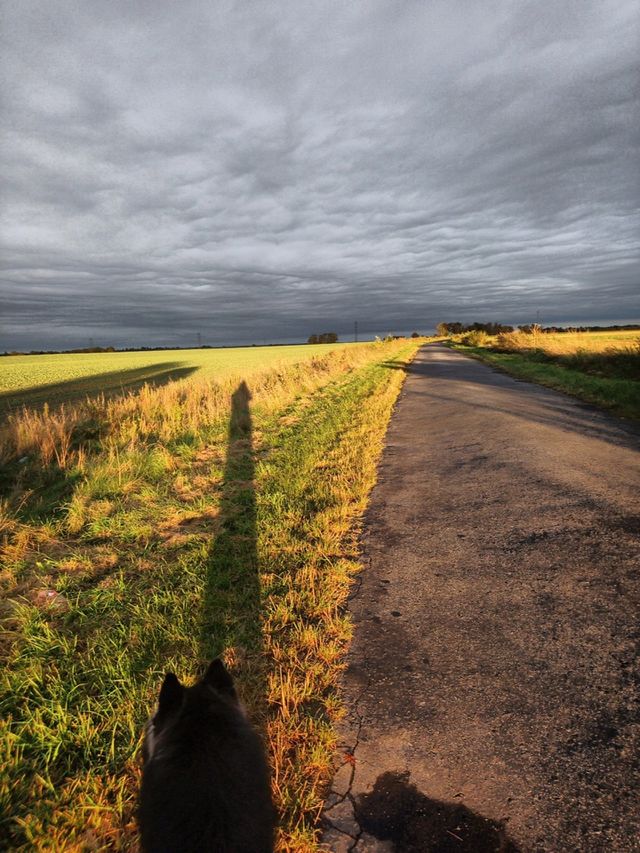 Horizon