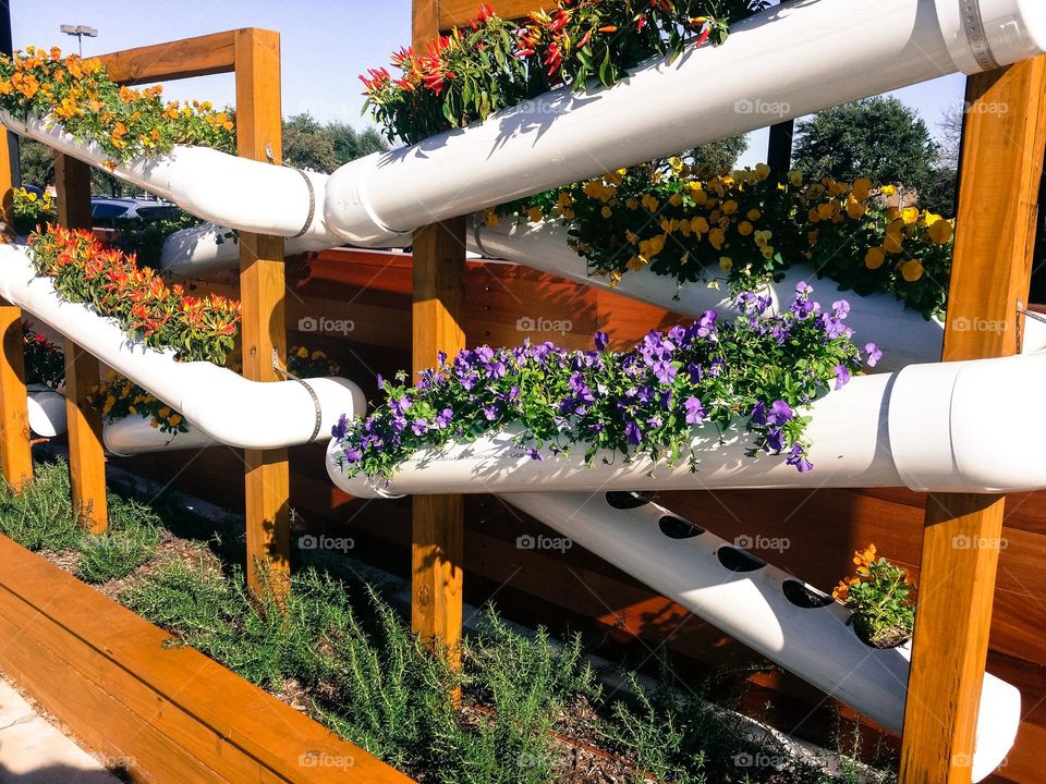 PVC Pipe Garden