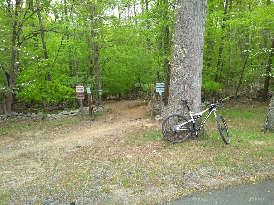 The start of the MTB Trail at Fountainhead