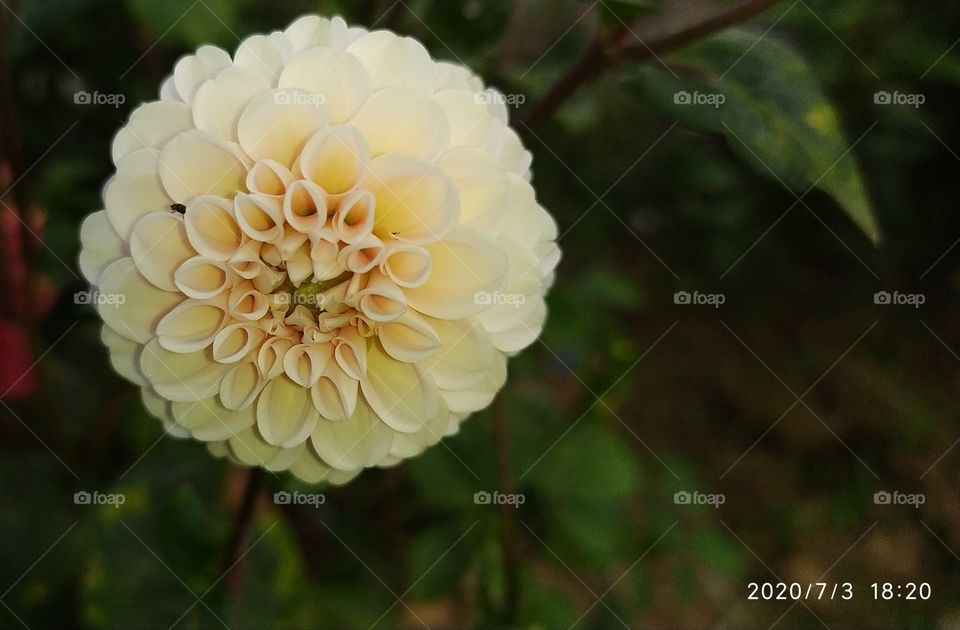 Device redmi note 7s