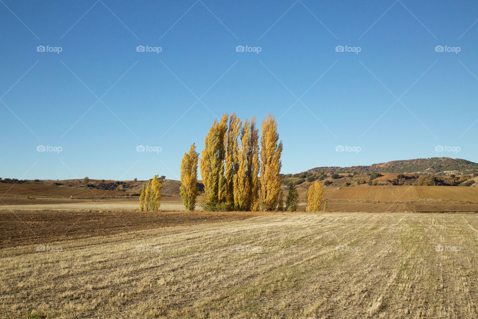 Spain Countryside