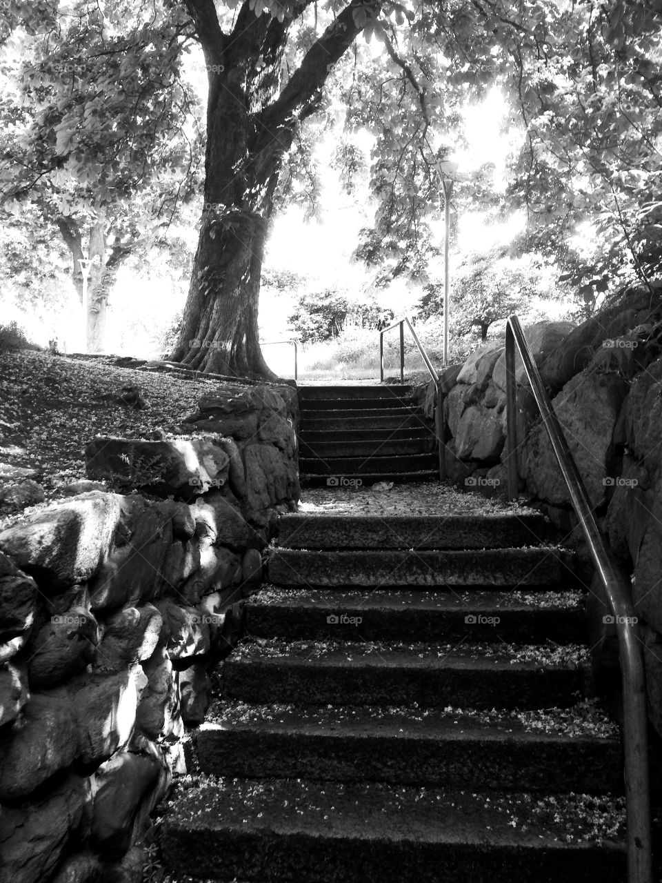 Autumn leafs on empty steps
