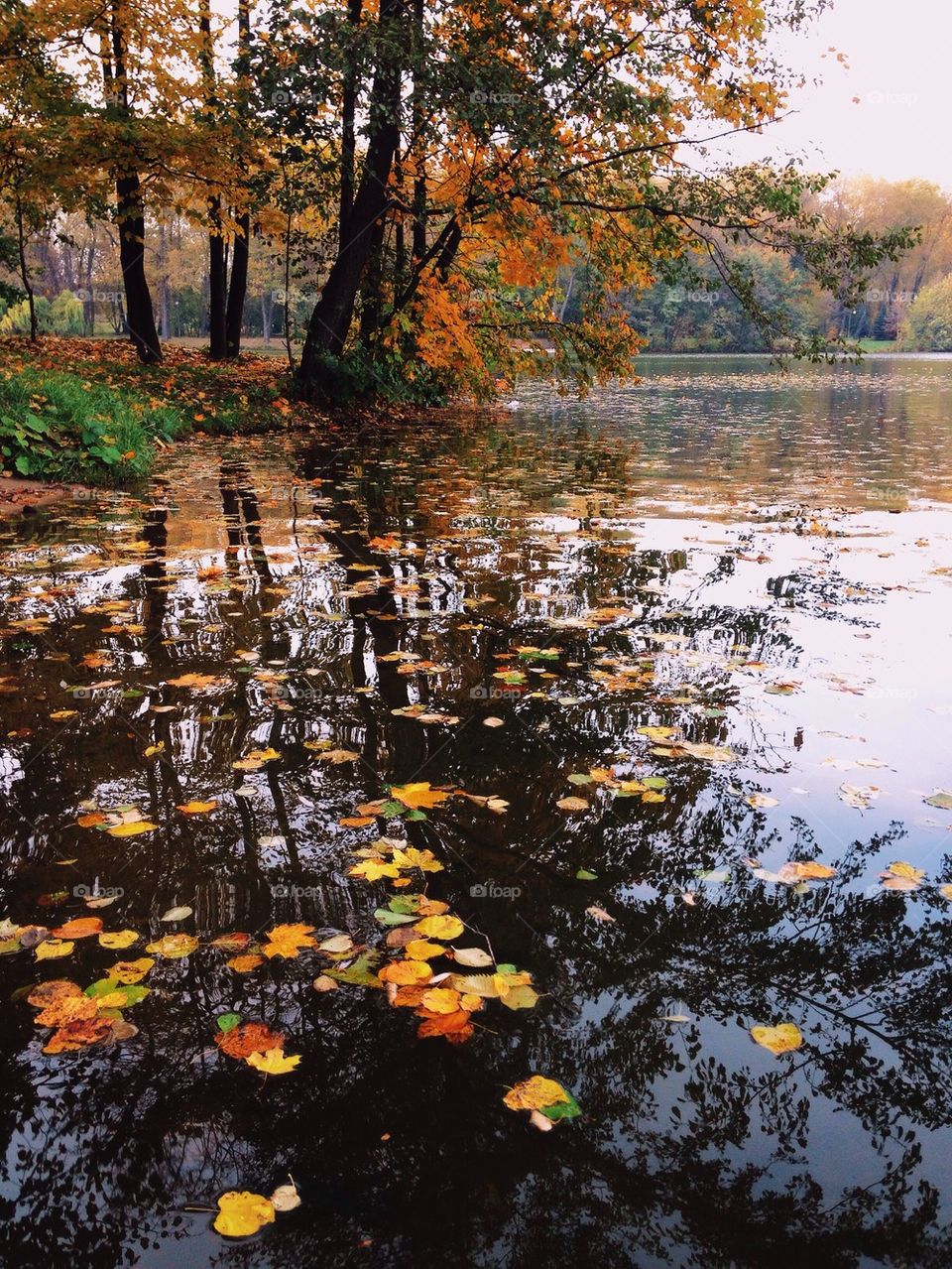 Autumn river