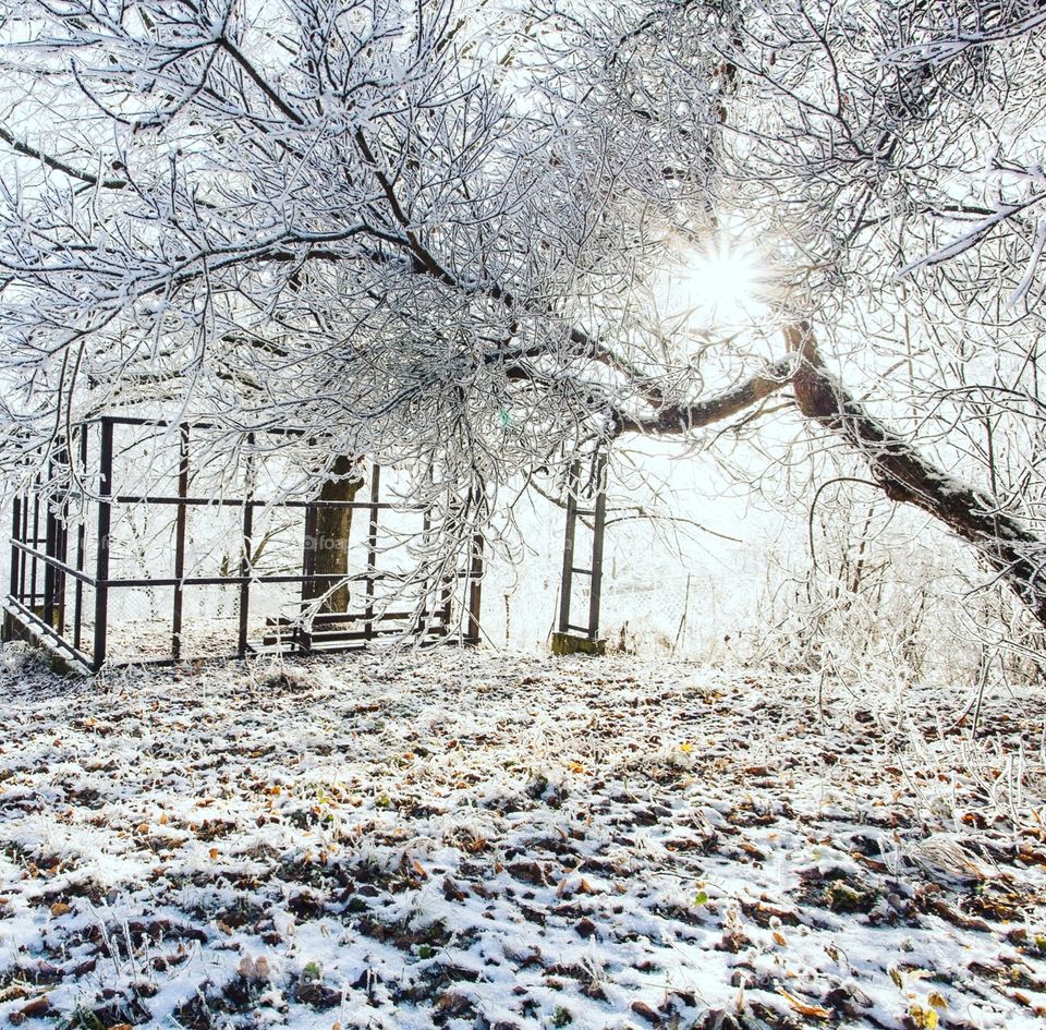 Wintertime Landscape 