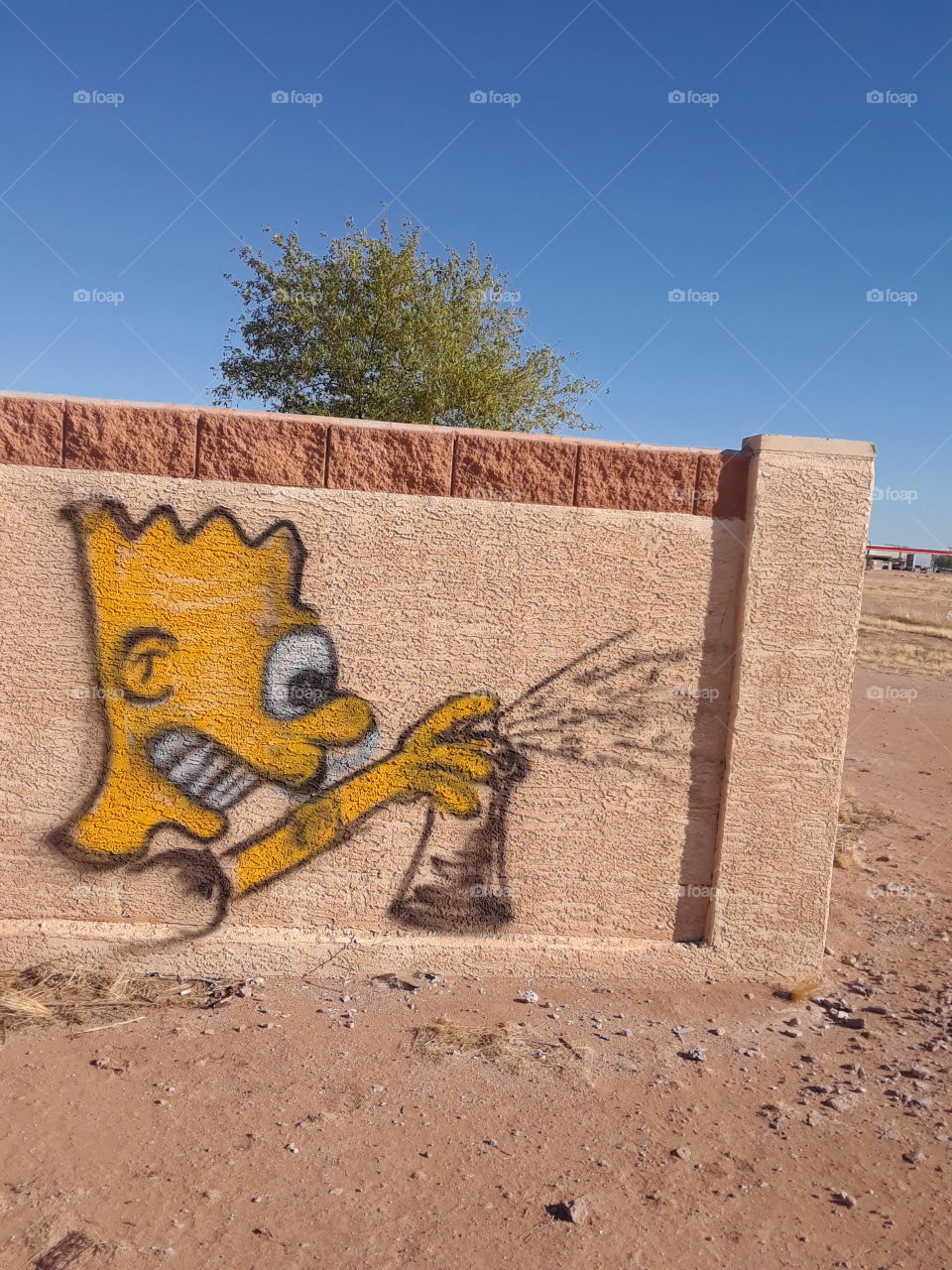 Grafitti of Bart Simpson