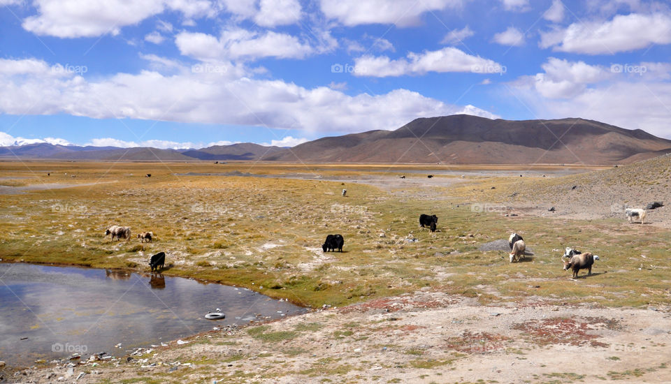 somewhere in Tibet