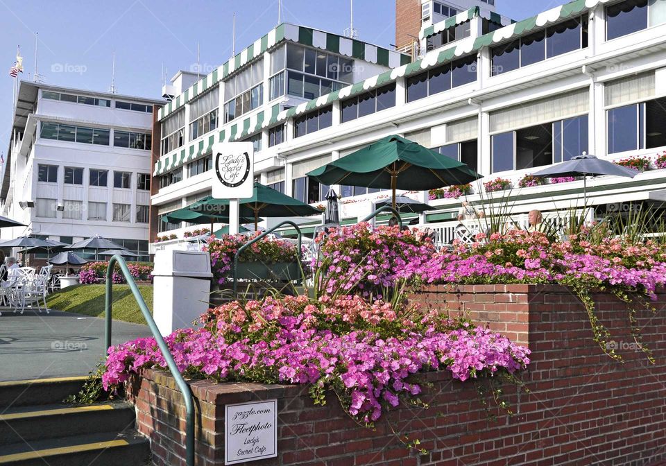 Monmouth Park Closing Day
#MonmouthPark #Horseracing #HorseracingGifts #Grandstand #Clubhouse
#Racetrack #JerseyShore
Zazzle.com/fleetphoto