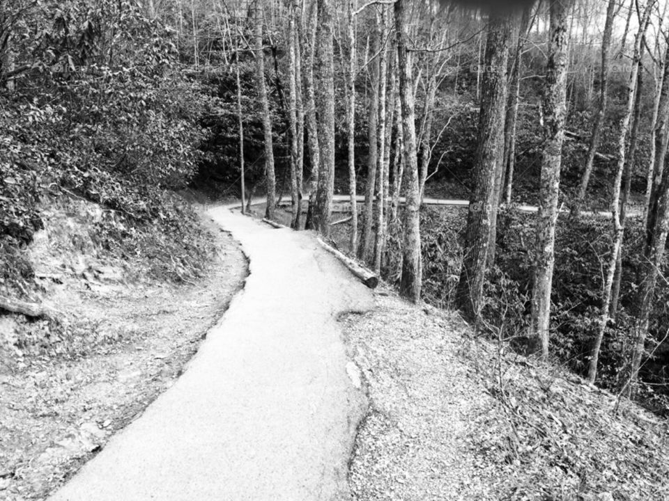 Trail to waterfalls in mountains in Tennessee , long and winding path ( road ) ..