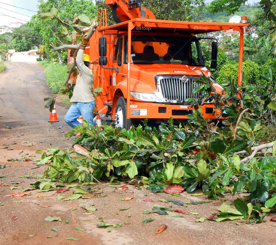 Clearing Road