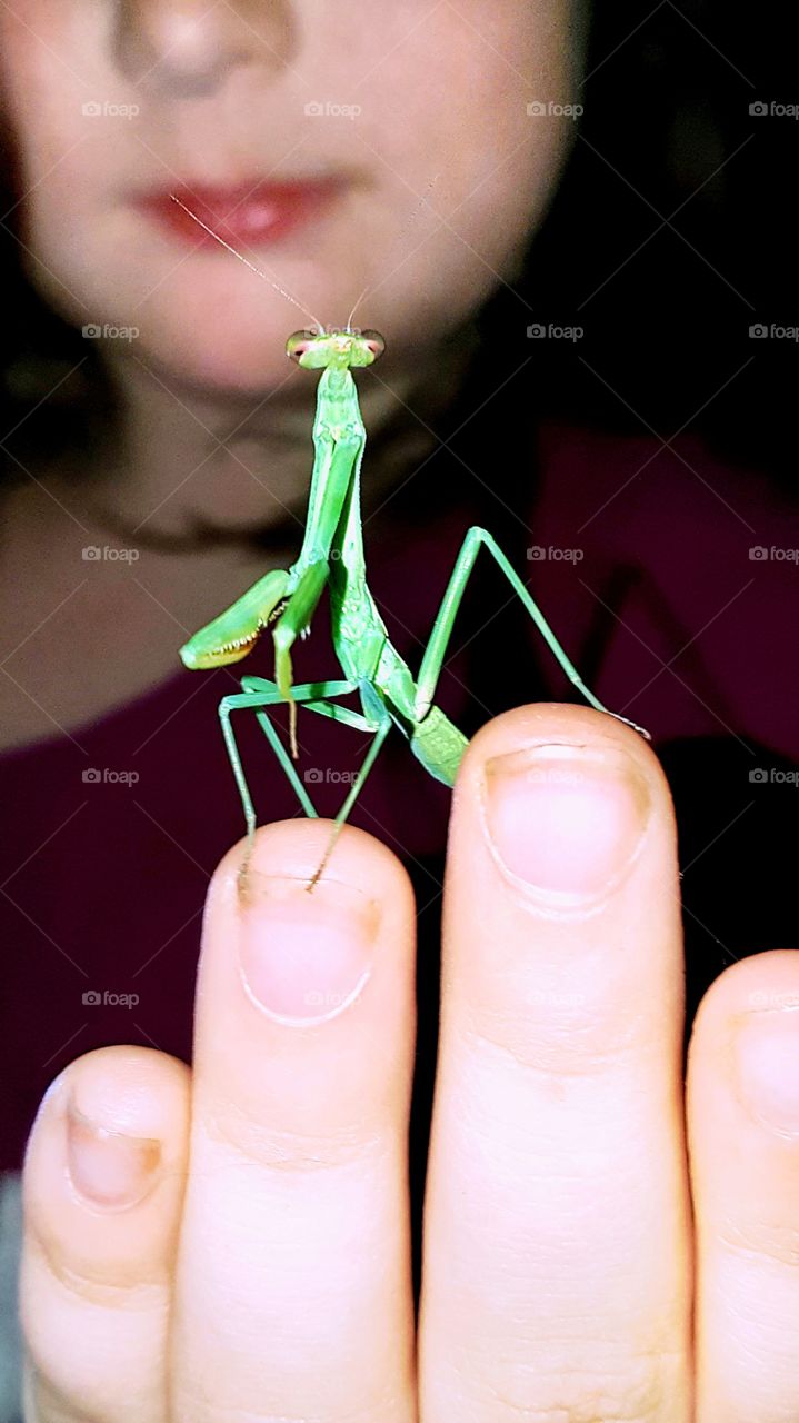 kid holding praying mantis on finger