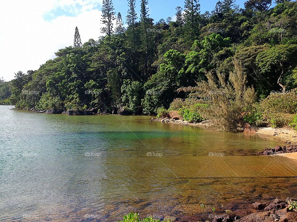 Landscape in New Caledonia