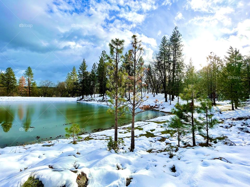 Winter day by the lake