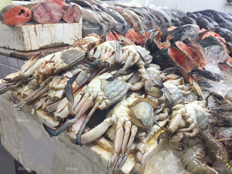 Fresh seafood on display 