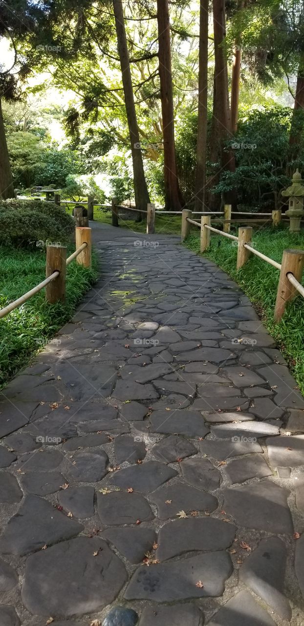 Zen Path