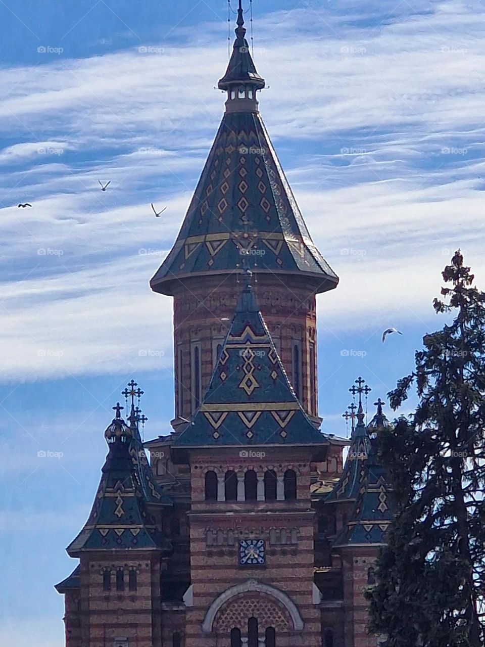 the metropolitan cathedral of Timisoara