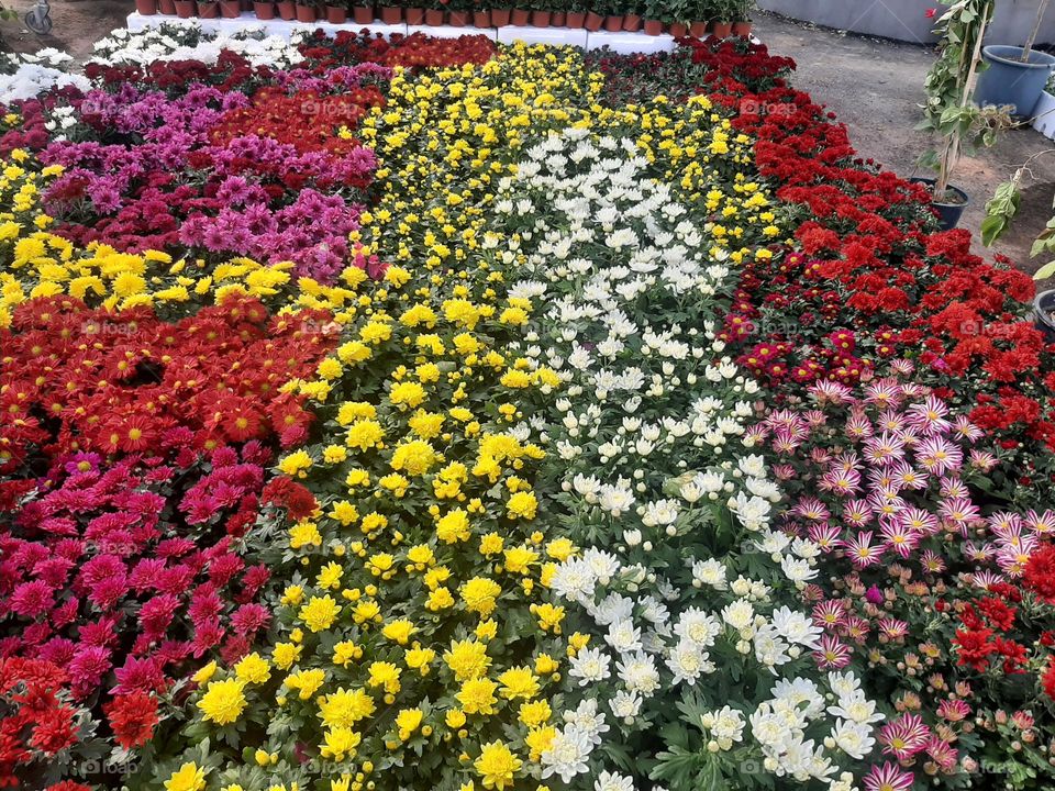 Please make me happy, I am poor, I need your help with support