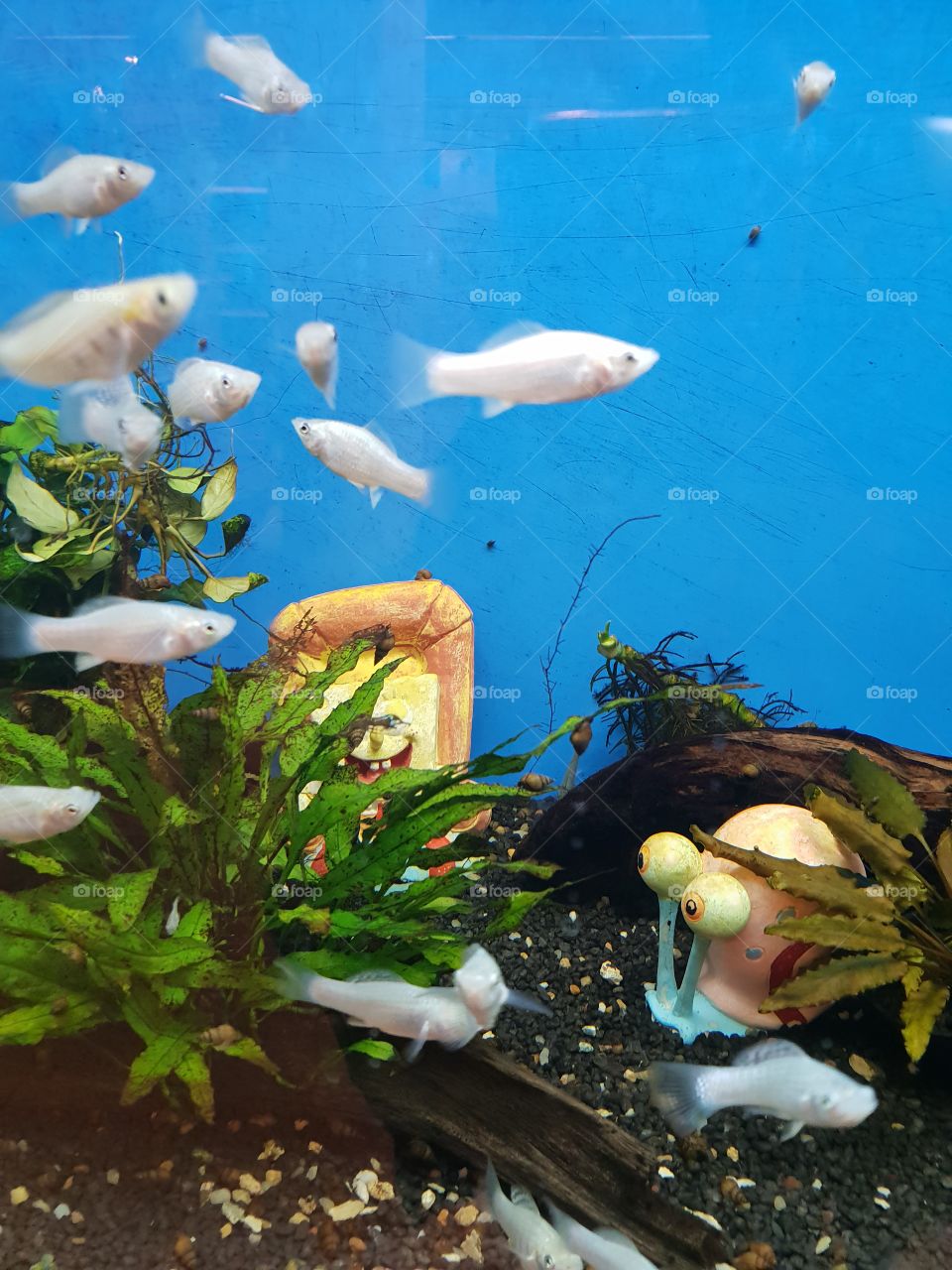 weil ich es einfach mag