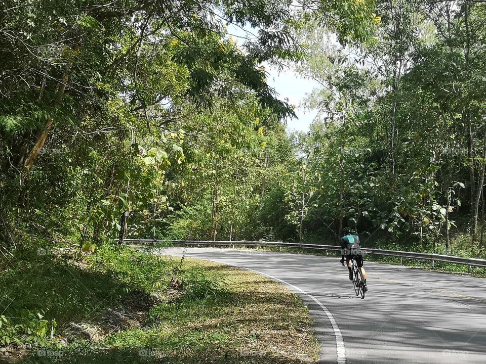 Cyclists ride bicycles on roads in forest views. Cycling event.