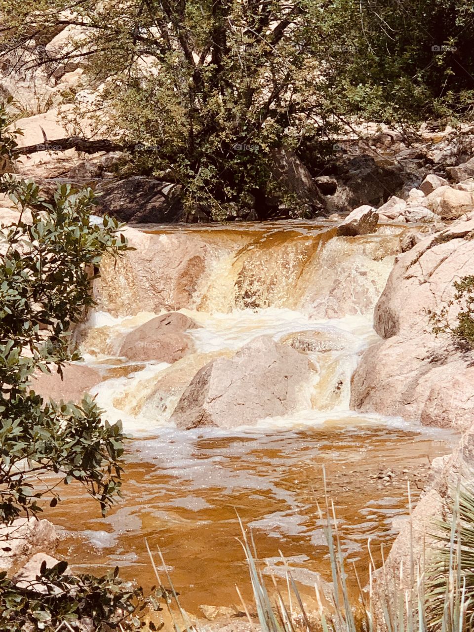 Monsoon falls in Arizona