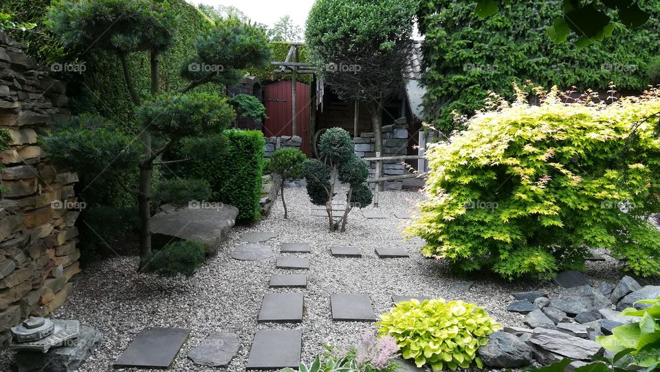 Japan style garden