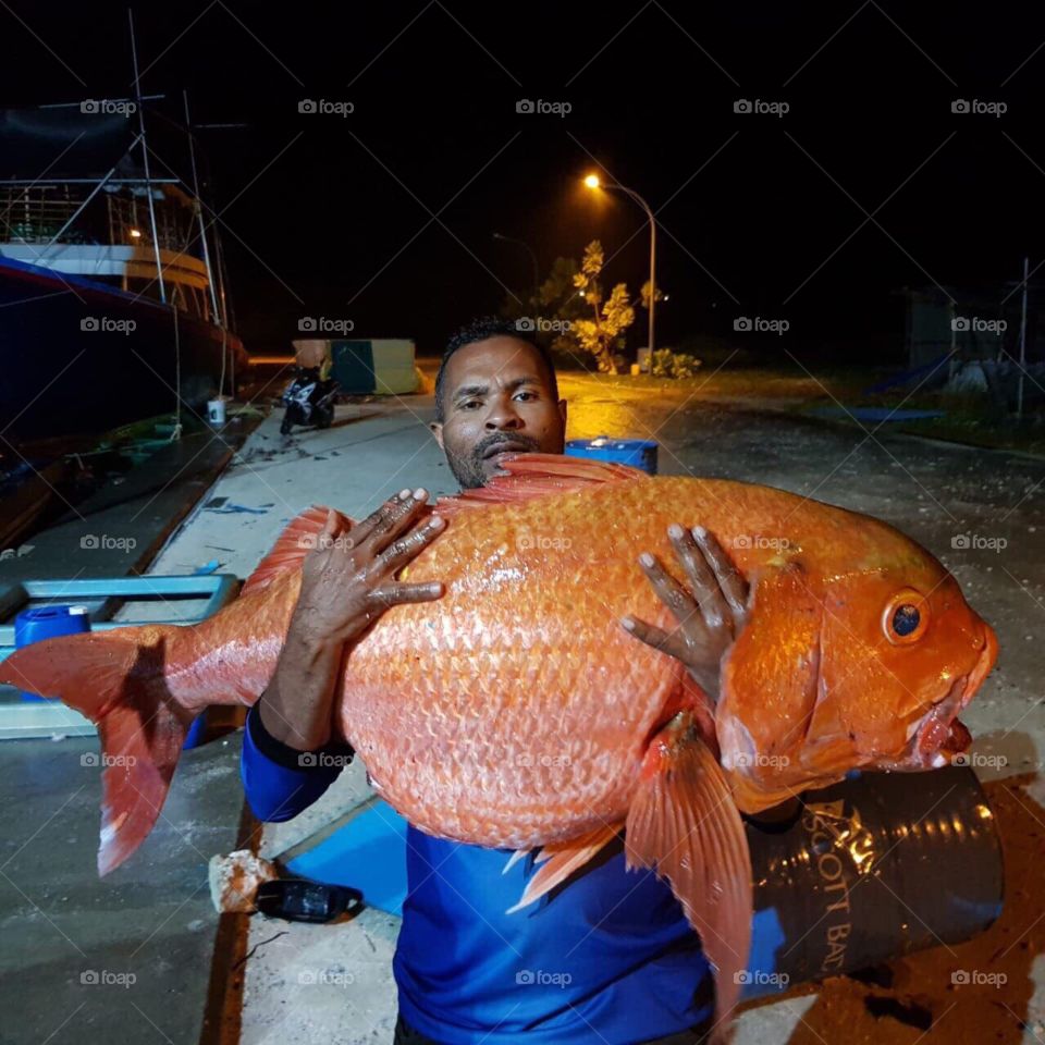 One of the biggest red snapper caught on line fishing in #maldives has a weight of 30kg.