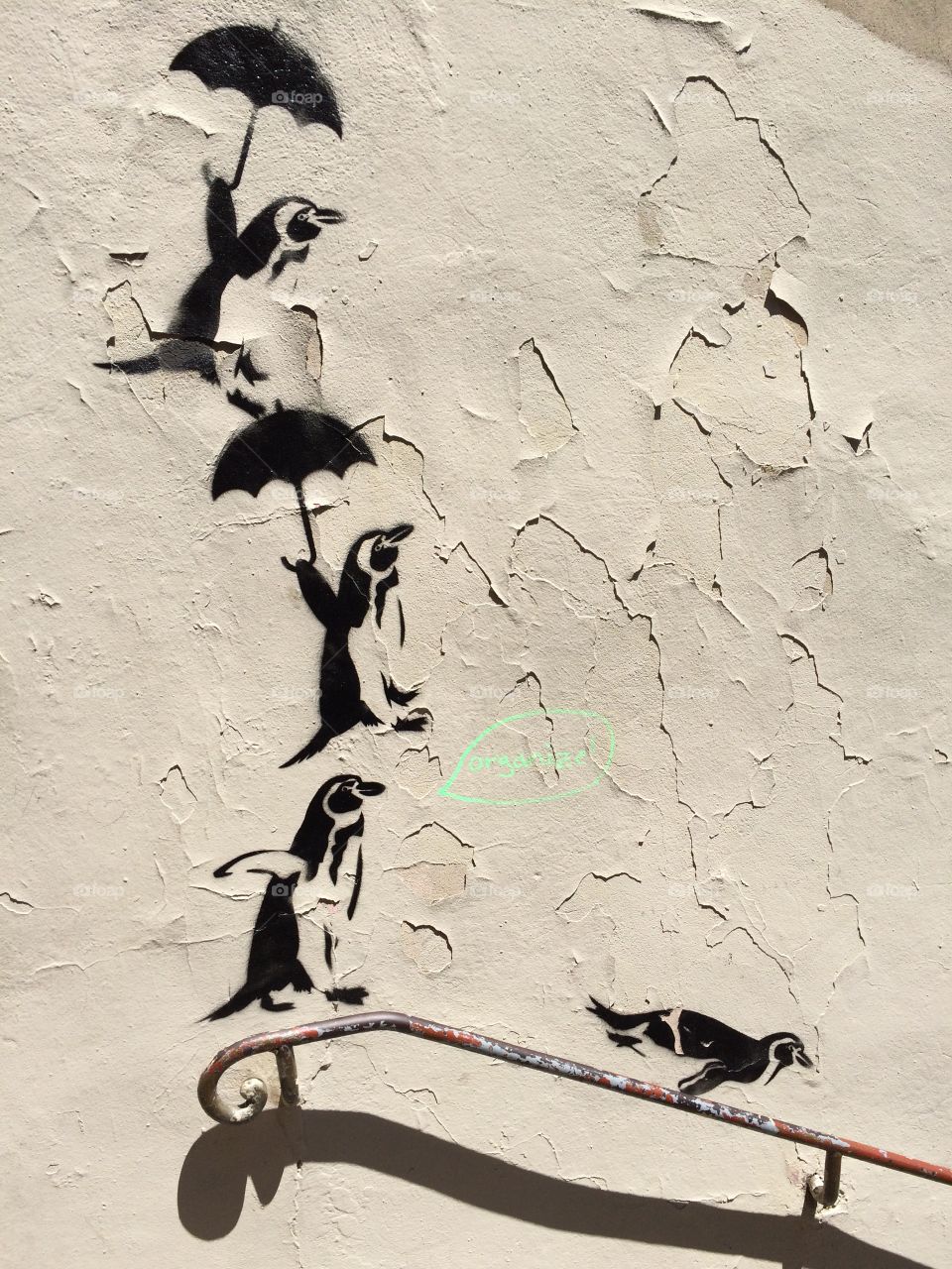 Jumping penguins, graffiti on wall