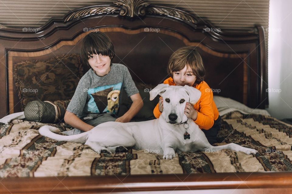 Boys sitting on a bed with their dog 