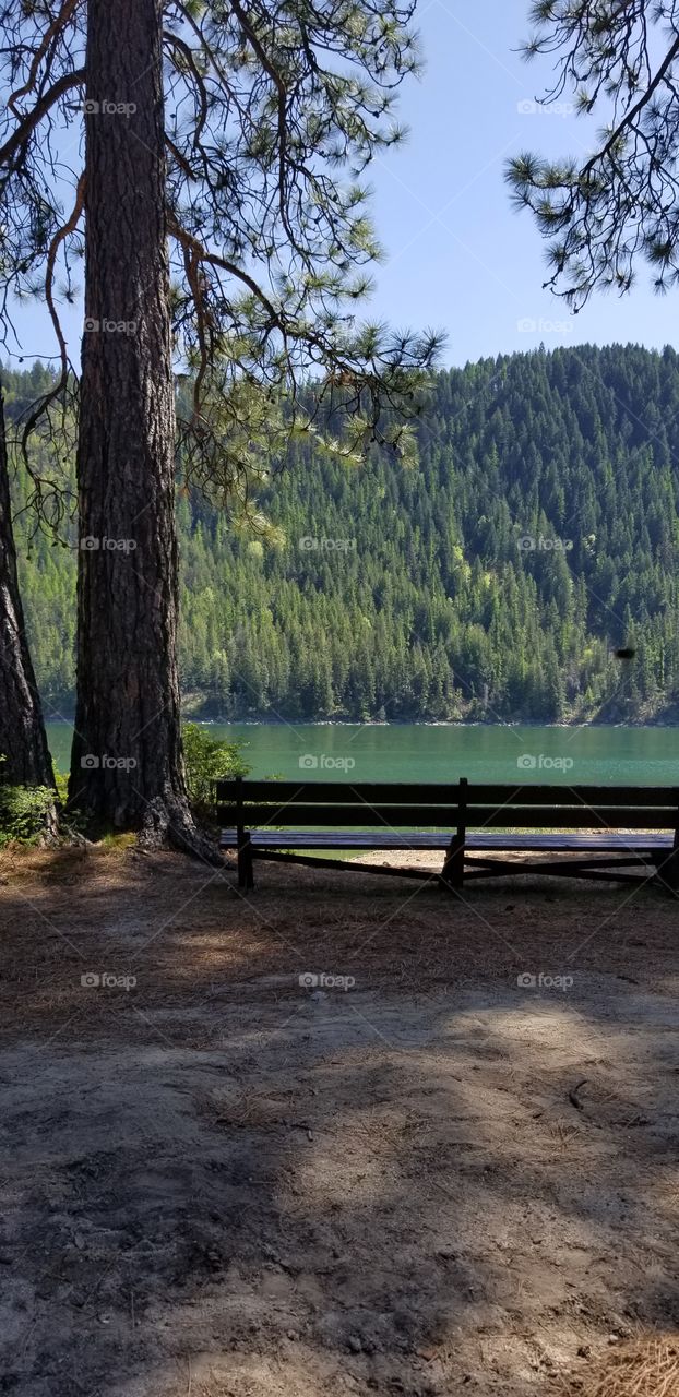 wooden bench with view of lake shoreline and mountain ridge shaded by a trees with a sunny blue sky