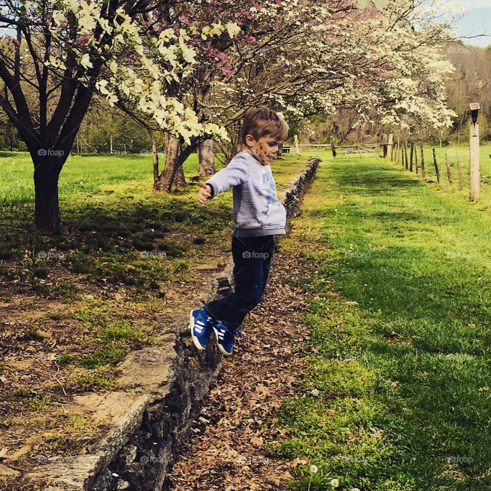 Rare cheetah spotted at the park 