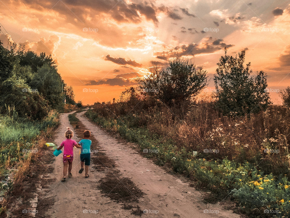 sunset in the field