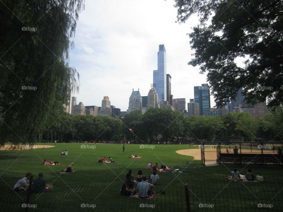 Central Park with view of the city 